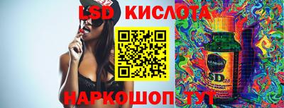 дмт Кингисепп