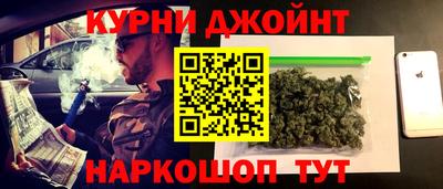 дмт Кингисепп