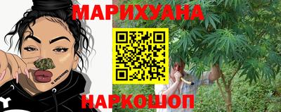 индика Кинель