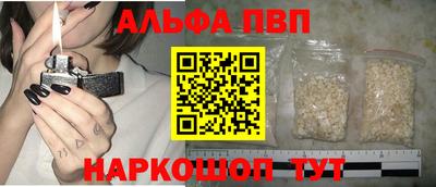 дмт Кингисепп