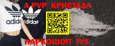 дмт Кингисепп