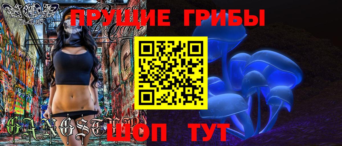 Галлюциногенные грибы GOLDEN TEACHER  Вход с VPN  купить наркотики цена  Ярцево 